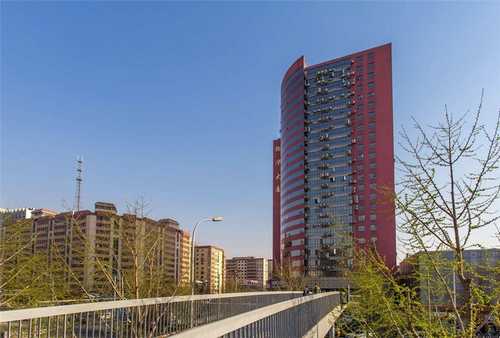 江苏棉花塑料压脚供应商