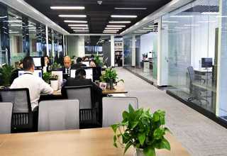 杨浦区苗圃绿植租赁价格