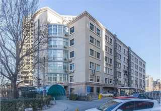 郑州网格田字塑料托盘定制